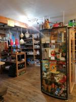 IMG-20230119-WA0013